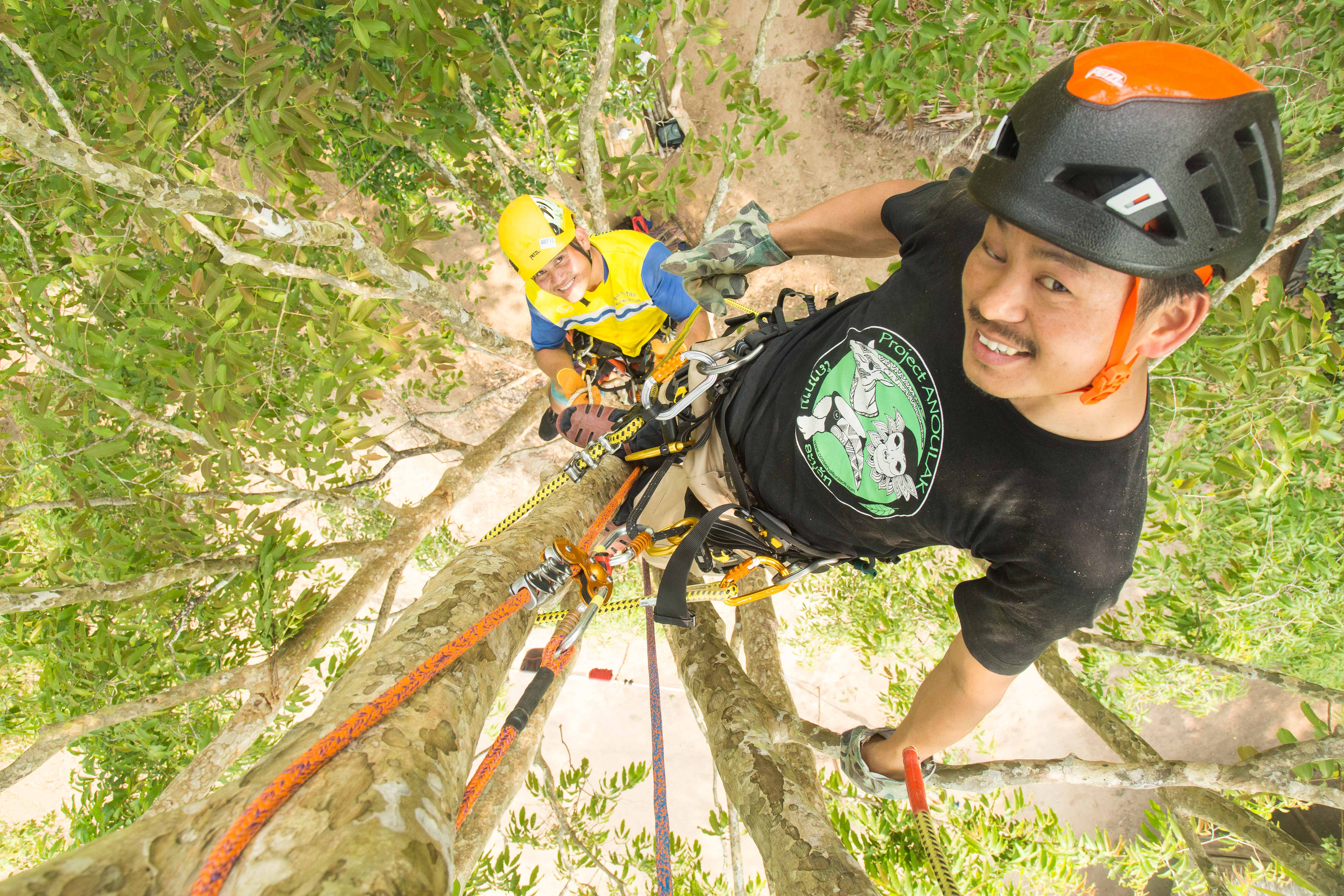 Exploring the canopy: Tree climbing training to better study what's up  there! - Association Anoulak